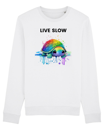 Broasca testoasa pictata in acuarela cu mesajul Live Slow White