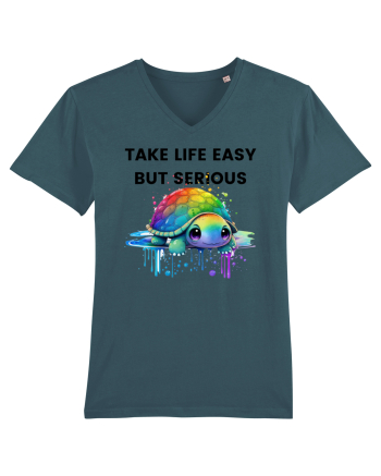 Broasca testoasa pictata in acuarela cu mesajul Take Life Easy but Serious Stargazer