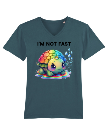 Broasca testoasa pictata in acuarela cu mesajul   I'm not fast Stargazer