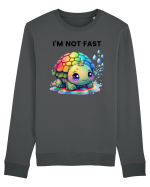 Broasca testoasa pictata in acuarela cu mesajul   I'm not fast Bluză mânecă lungă Unisex Rise