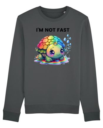 Broasca testoasa pictata in acuarela cu mesajul   I'm not fast Anthracite
