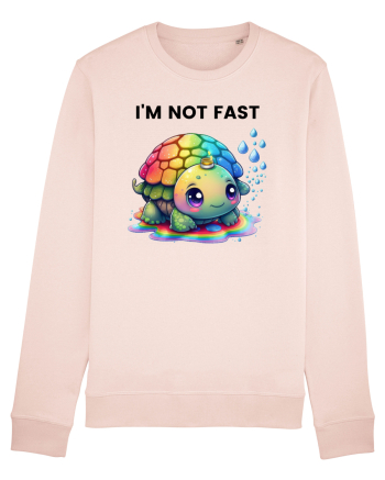 Broasca testoasa pictata in acuarela cu mesajul   I'm not fast Candy Pink
