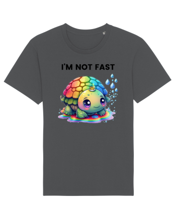 Broasca testoasa pictata in acuarela cu mesajul   I'm not fast Anthracite