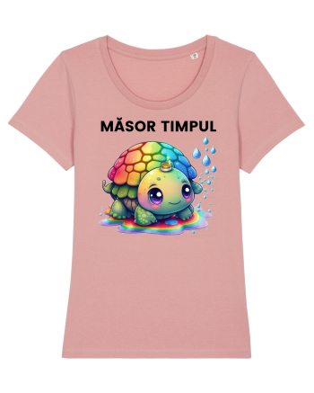 Broasca testoasa pictata in acuarela cu mesajul  Masor Timpul Canyon Pink