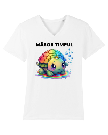 Broasca testoasa pictata in acuarela cu mesajul  Masor Timpul White