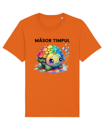 Broasca testoasa pictata in acuarela cu mesajul  Masor Timpul Bright Orange