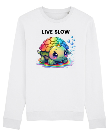 Broasca testoasa pictata in acuarela cu mesajul Live Slow White