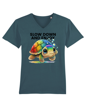 Broasca testoasa pictata in acuarela cu mesajul  Slow Down and Enjoy Life Stargazer