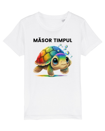 Broasca testoasa pictata in acuarela cu mesajul  Masor Timpul White