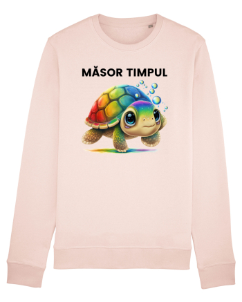 Broasca testoasa pictata in acuarela cu mesajul  Masor Timpul Candy Pink