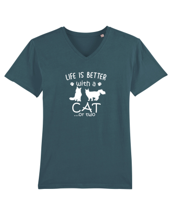 CATS Stargazer