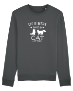 CATS Bluză mânecă lungă Unisex Rise