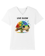 Broasca testoasa pictata in acuarela cu mesajul Live Slow Tricou mânecă scurtă guler V Bărbat Presenter