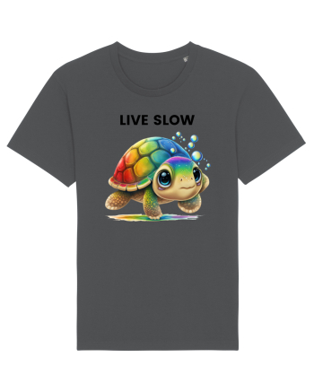 Broasca testoasa pictata in acuarela cu mesajul Live Slow Anthracite