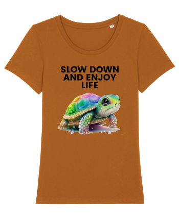 Broasca testoasa pictata in acuarela cu mesajul  Slow Down and Enjoy Life Roasted Orange