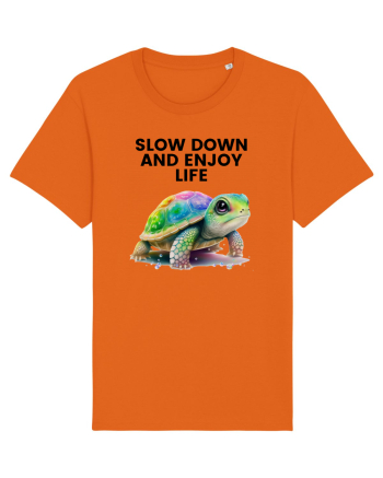 Broasca testoasa pictata in acuarela cu mesajul  Slow Down and Enjoy Life Bright Orange