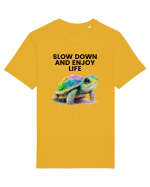Broasca testoasa pictata in acuarela cu mesajul  Slow Down and Enjoy Life Tricou mânecă scurtă Unisex Rocker