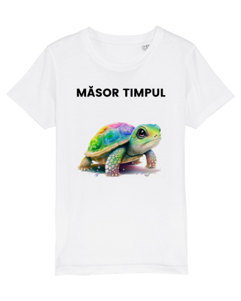 Broasca testoasa pictata in acuarela cu mesajul  Masor Timpul White