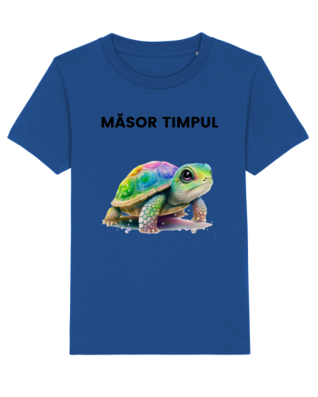 Broasca testoasa pictata in acuarela cu mesajul  Masor Timpul Majorelle Blue