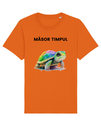 Broasca testoasa pictata in acuarela cu mesajul  Masor Timpul Bright Orange