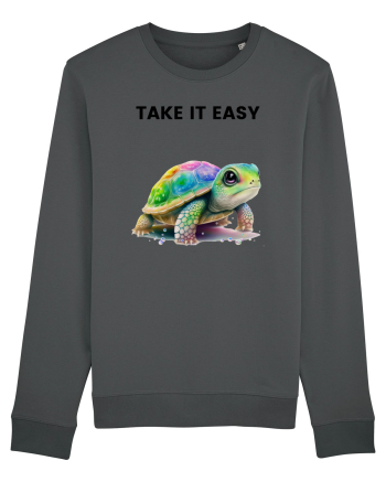 Broasca testoasa pictata in acuarela cu mesajul  Take it Easy Anthracite