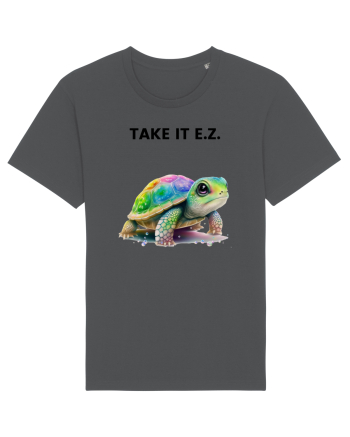 Broasca testoasa pictata in acuarela cu mesajul  Take it E.Z. Anthracite