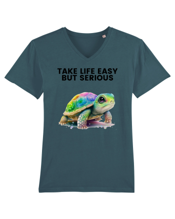 Broasca testoasa pictata in acuarela cu mesajul Take Life Easy but Serious Stargazer