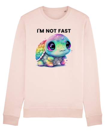 Broasca testoasa pictata in acuarela cu mesajul I'm not fast Candy Pink