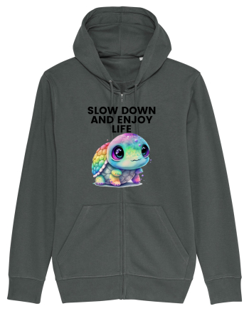 Broasca testoasa pictata in acuarela cu mesajul  Slow Down and Enjoy Life Anthracite