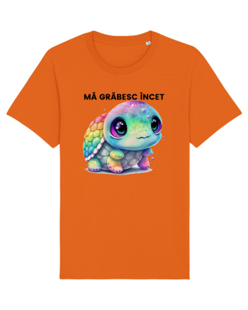 Broasca testoasa pictata in acuarela cu mesajul Ma grabesc Incet Bright Orange