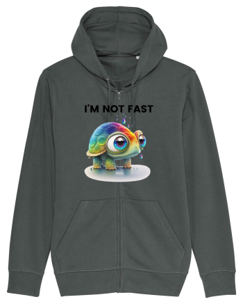 Broasca testoasa pictata in acuarela cu mesajul I'm not fast Anthracite