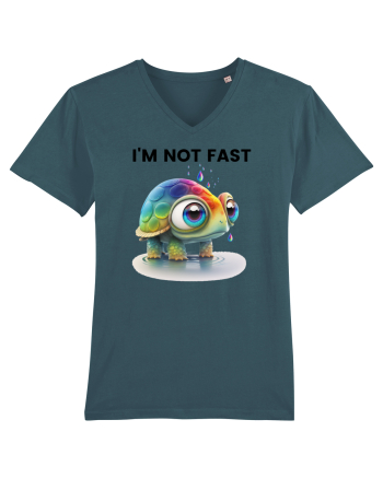 Broasca testoasa pictata in acuarela cu mesajul I'm not fast Stargazer
