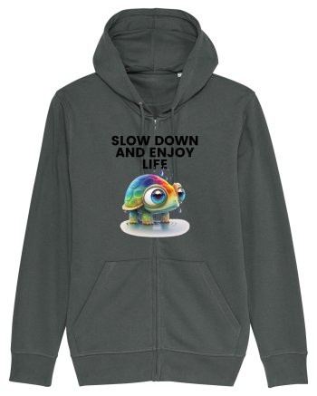 Broasca testoasa pictata in acuarela cu mesajul  Slow Down and Enjoy Life Anthracite