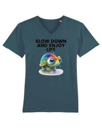 Broasca testoasa pictata in acuarela cu mesajul  Slow Down and Enjoy Life Stargazer