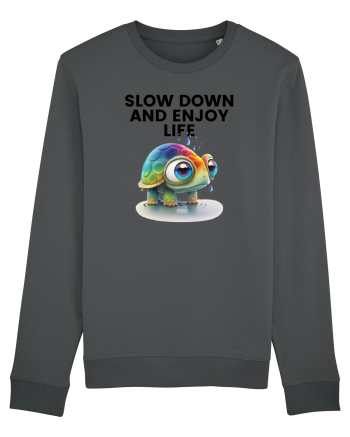 Broasca testoasa pictata in acuarela cu mesajul  Slow Down and Enjoy Life Anthracite
