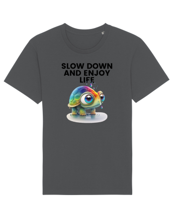 Broasca testoasa pictata in acuarela cu mesajul  Slow Down and Enjoy Life Anthracite