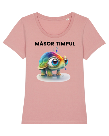 Broasca testoasa pictata in acuarela cu mesajul  Masor Timpul Canyon Pink
