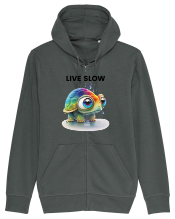 Broasca testoasa pictata in acuarela cu mesajul Live Slow Anthracite