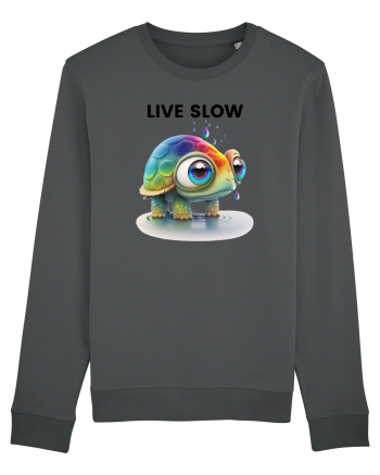 Broasca testoasa pictata in acuarela cu mesajul Live Slow Anthracite