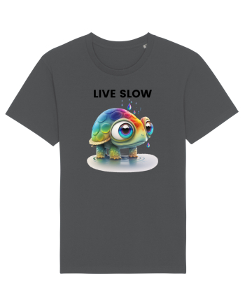 Broasca testoasa pictata in acuarela cu mesajul Live Slow Anthracite