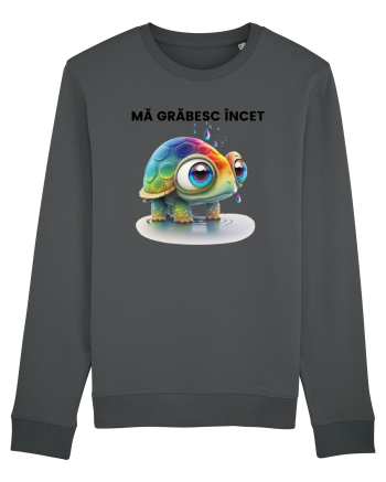 Broasca testoasa pictata in acuarela cu mesajul Ma grabesc Incet Anthracite