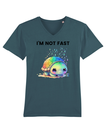 Broasca testoasa pictata in acuarela cu mesajul I'm not fast Stargazer