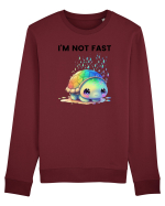 Broasca testoasa pictata in acuarela cu mesajul I'm not fast Bluză mânecă lungă Unisex Rise