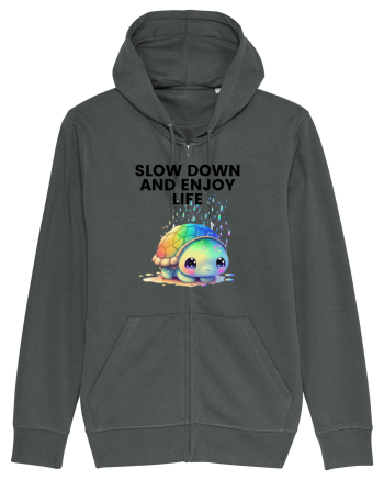 Broasca testoasa pictata in acuarela cu mesajul  Slow Down and Enjoy Life Anthracite