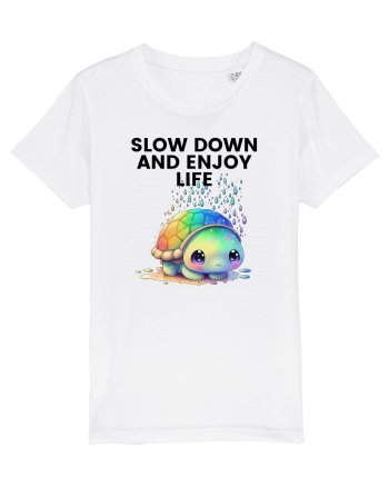 Broasca testoasa pictata in acuarela cu mesajul  Slow Down and Enjoy Life White