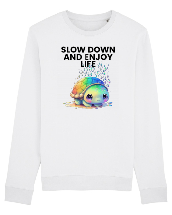 Broasca testoasa pictata in acuarela cu mesajul  Slow Down and Enjoy Life White