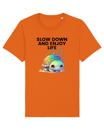 Broasca testoasa pictata in acuarela cu mesajul  Slow Down and Enjoy Life Bright Orange