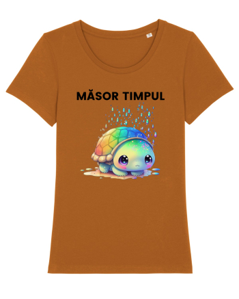 Broasca testoasa pictata in acuarela cu mesajul  Masor Timpul Roasted Orange