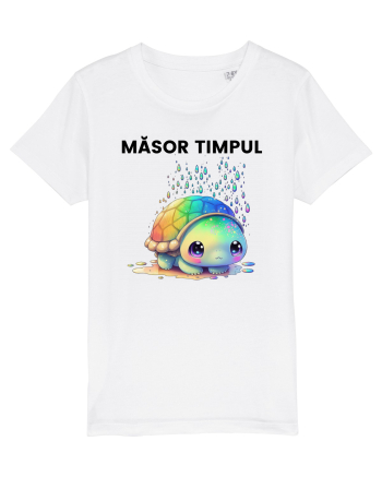 Broasca testoasa pictata in acuarela cu mesajul  Masor Timpul White