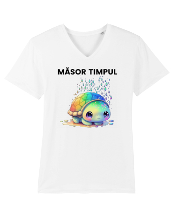 Broasca testoasa pictata in acuarela cu mesajul  Masor Timpul White
